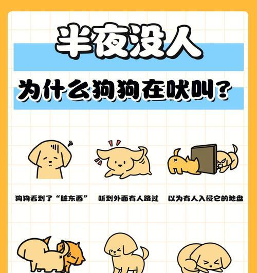 为什么狗会半夜跑出去?(探究狗在半夜离家的原因及解决方法)(图3) 为什么狗会半夜跑出去?(探究狗在半夜离家的原因及解决方法)(图3)