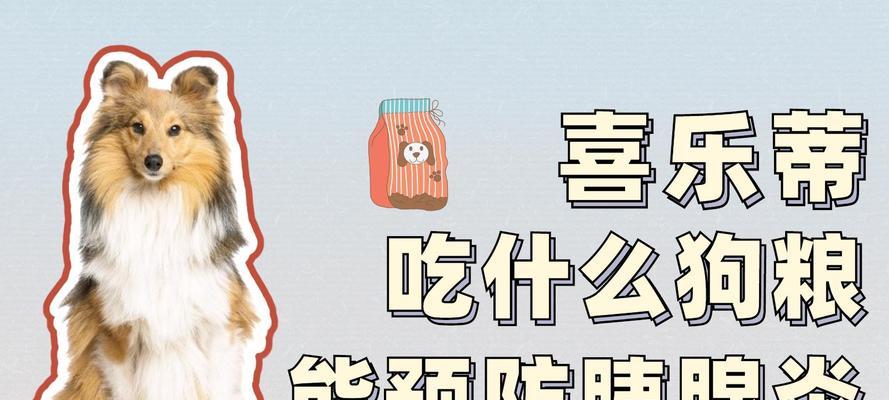 为什么狗狗需要吃狗粮？（探索狗粮在狗狗饮食中的重要性）(图2)