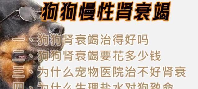 狗狗肾衰吃什么好?(了解狗狗肾衰,找到合适的饮食方式,健康陪伴我们的爱宠)(图2) 狗狗肾衰吃什么好?(了解狗狗肾衰,找到合适的饮食方式,健康陪伴我们的爱宠)(图2)