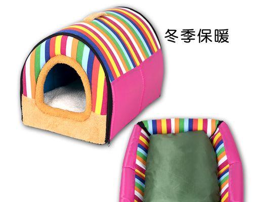 探秘“以泰迪式”的含义与魅力（解读泰迪式的特点与文化，带你走进温暖的世界）(图3)