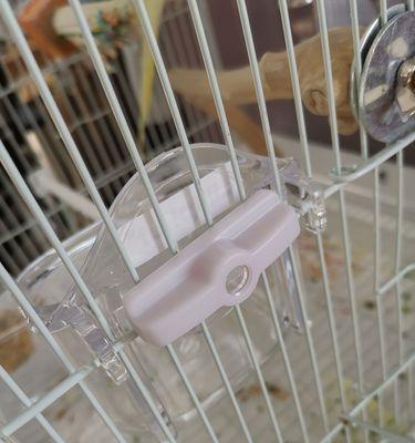 选择合适的食盆，让兔子健康成长（兔子食盆