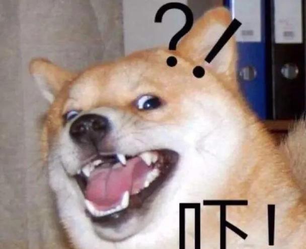 狗的最大恐惧——孤独感（探索狗对孤独感的深度恐惧以及如何帮助它们克服）(图1)