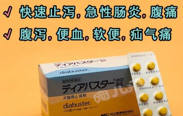 小奶狗为什么会拉稀？（探究拉稀原因与解决办法）(图3)