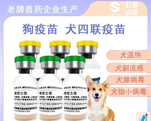 宠物狗每年需要接种的疫苗有哪些？（了解宠物狗年度接种疫苗的必要性和注意事项）(图3)