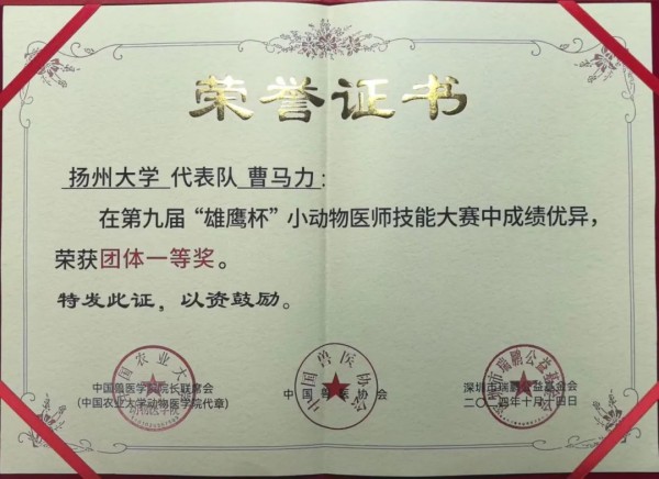 赛学双优‼️这个团队全员保研(图7)