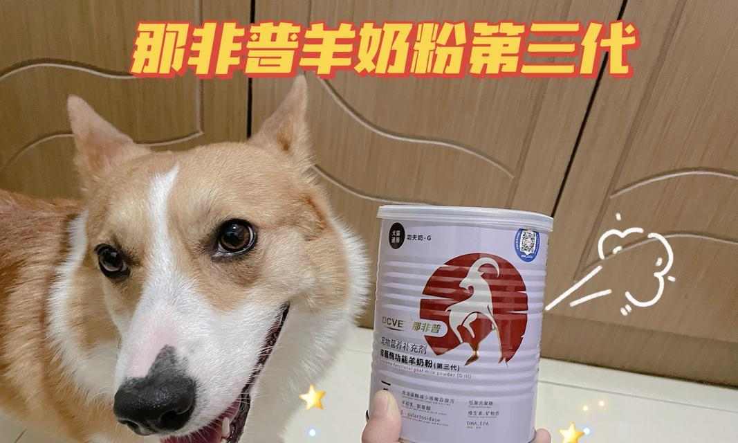 狗狗拉肚子治愈后的饮食恢复计划（为你的宠物提供适当的食物，促进健康恢复）(图1)