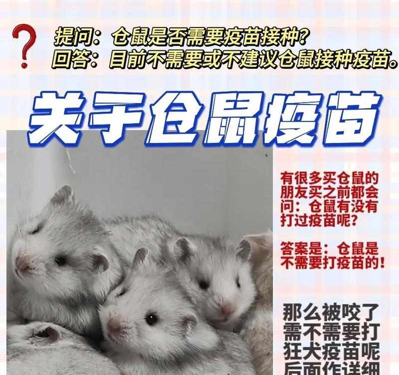 仓鼠为什么咬人？（探究仓鼠咬人的原因及预防方法）(图1)