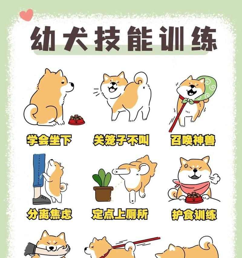 小狗训练的最佳时机与方法(为你的小狗提供合适的训练,培养良好的行为习惯)(图2) 小狗训练的最佳时机与方法(为你的小狗提供合适的训练,培养良好的行为习惯)(图2)