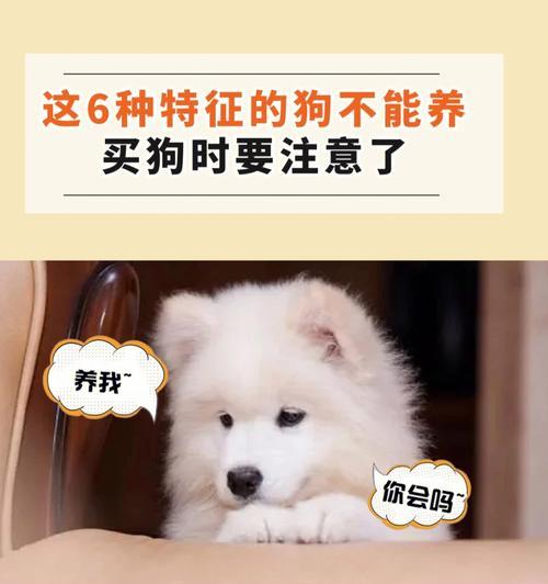 新买的狗狗,如何照顾它的需求(关注狗狗健康与幸福,让它成为你的忠实伙伴)(图3) 新买的狗狗,如何照顾它的需求(关注狗狗健康与幸福,让它成为你的忠实伙伴)(图3)