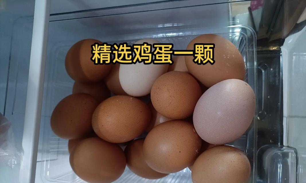 营养均衡的饮食让猫咪毛色绚丽（以吃什么能