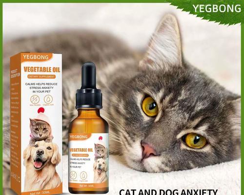 提高猫的体质，让它更健康（合理饮食对猫的身体发育至关重要）(图3)