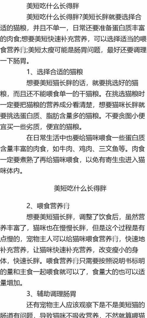 美短不能吃什么？保护你的猫咪健康饮食的关键（了解美短禁食食物，让你的猫咪远离食物危机）(图2)