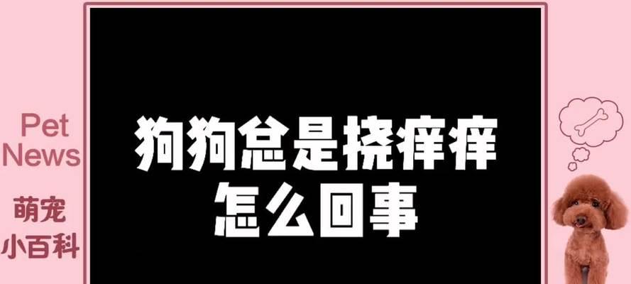揭秘狗为什么喜欢挠嘴的原因（深入探究狗喜欢挠嘴的行为背后的奥秘）(图2)