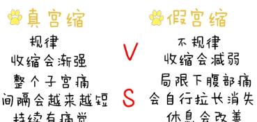 泰迪狗宫缩的原因及症状解析（宫缩是什么？如何识别泰迪狗宫缩？了解狗宫缩的病因与治疗方法）(图3)