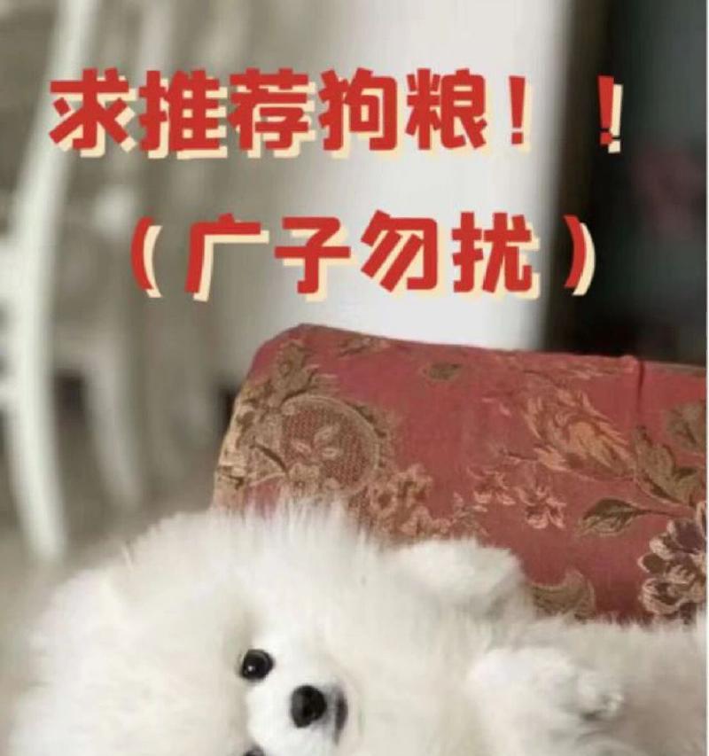 狗不吃狗粮?别担心,它们还能吃什么!(寻找适合狗狗的饮食方案,了解更多关键信息。)(图2) 狗不吃狗粮?别担心,它们还能吃什么!(寻找适合狗狗的饮食方案,了解更多关键信息。)(图2)