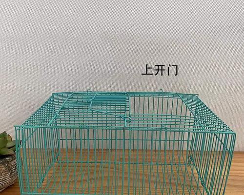 选择合适的笼子给你的仓鼠一个温馨的家园（如何为你的仓鼠选择适合的笼子）(图3)