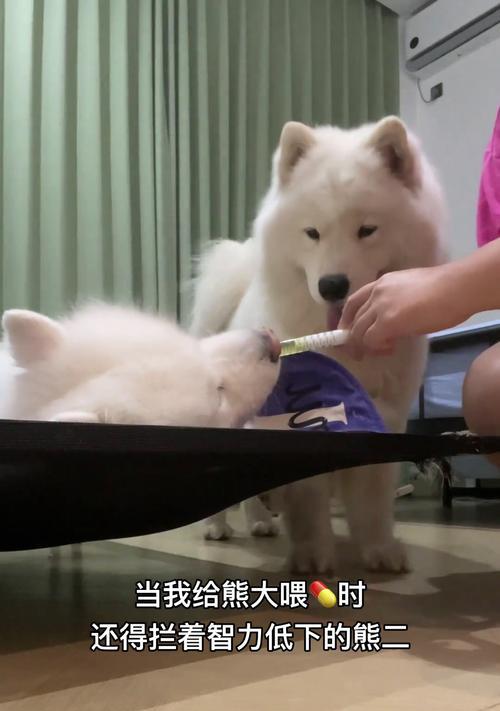 宝宝三个月可以吃什么？（为您解答孩子三个月的辅食问题）(图2)