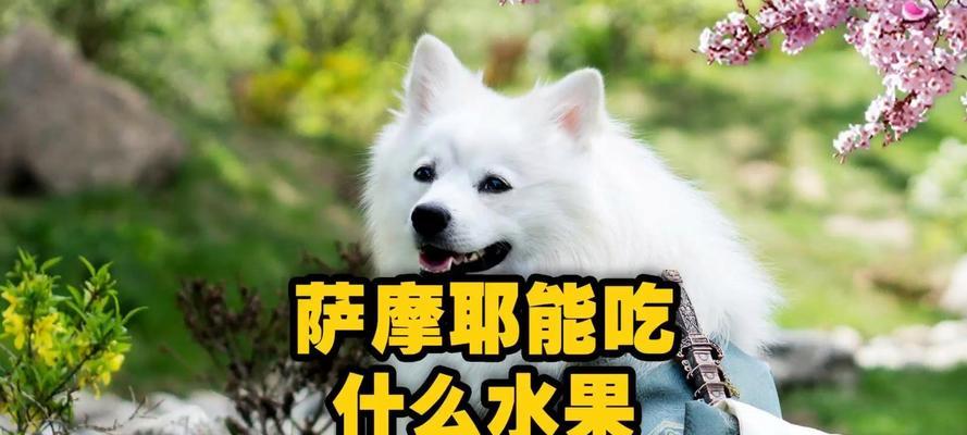 宝宝三个月可以吃什么？（为您解答孩子三个月的辅食问题） - 新生家伴