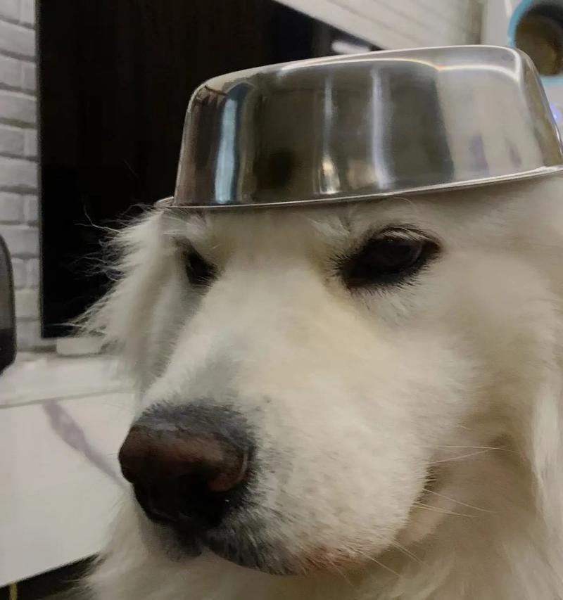 宝宝三个月可以吃什么？（为您解答孩子三个月的辅食问题）(图3)