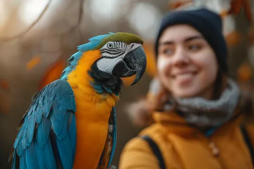 鹦鹉的嗉囊有什么功能？(图2)