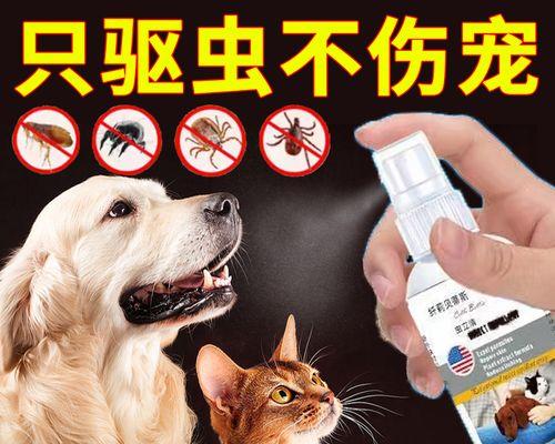 选择适合的狗用体外驱虫药物保护您的宠物健康（了解不同类型的狗 - 新生家伴