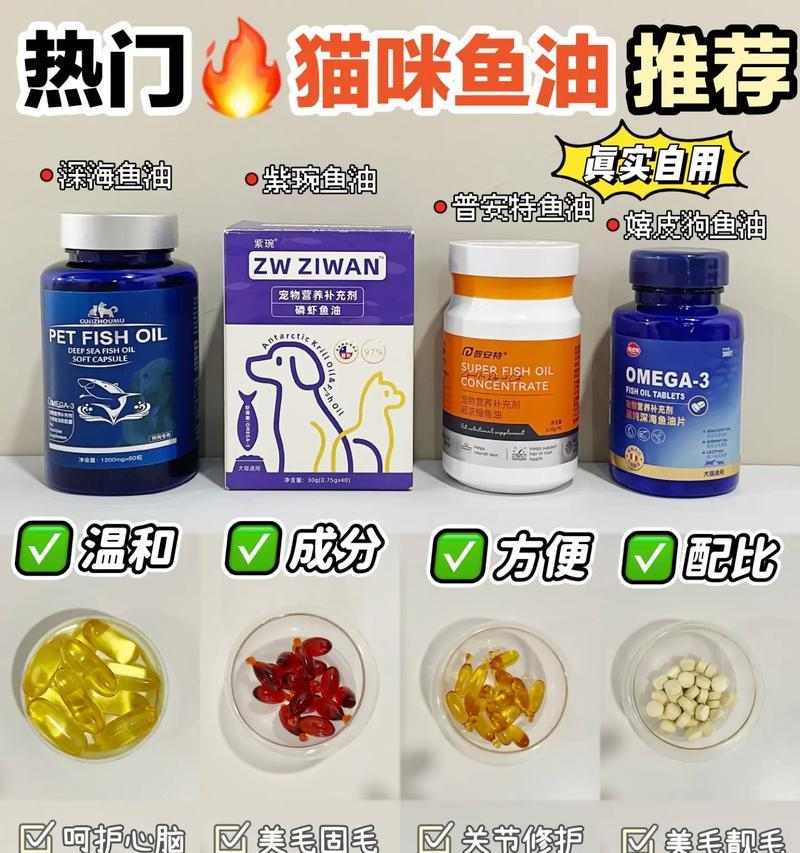 如何让猫爆毛问题迎刃而解？（探讨猫咪的饮食调理与护理方法）(图1)