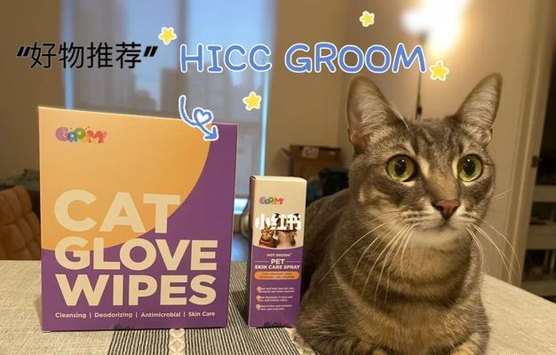 猫咪的排汗方式及其重要性（揭秘猫咪排汗的奥秘，了解猫咪健康的秘诀）(图2)