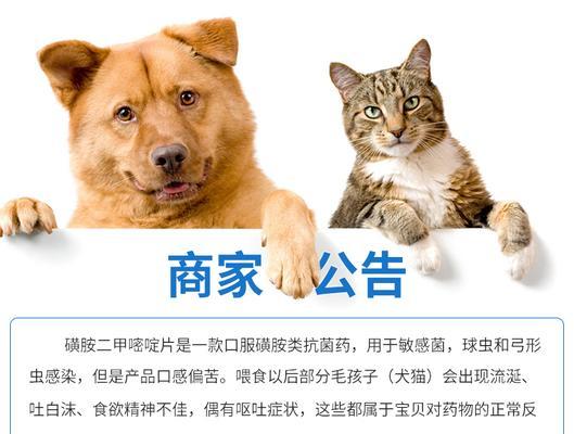 小狗感染弓形虫时，应该吃什么药？（详解小狗感染弓形虫后的药物 - 新生家伴