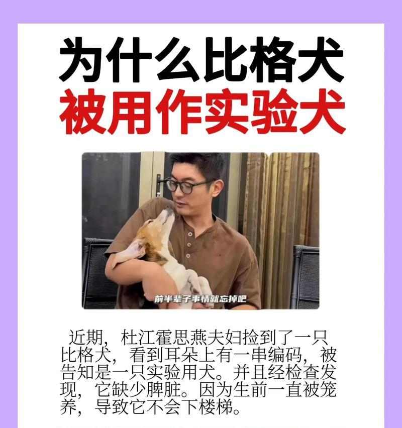 以比格为什么会变色（探究比格变色的原因及科学解释） - 新生家伴