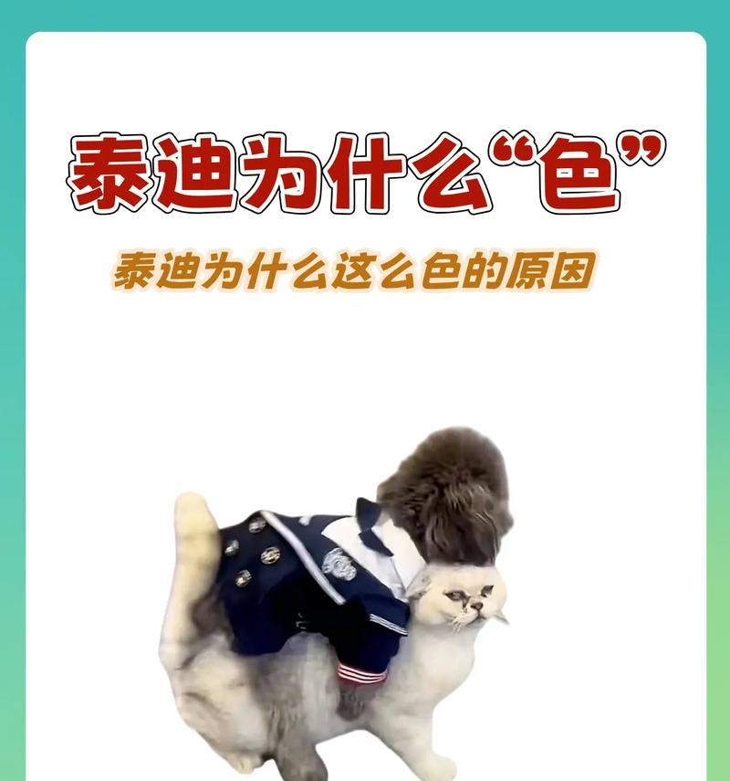 泰迪狗狗嘴巴臭的原因及解决方法（了解泰迪狗狗口臭的原因，让你 - 新生家伴