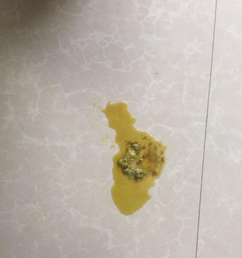 揭秘宠物泰迪的大便之谜（了解泰迪的消化系统，从大便说起） - 新生家伴