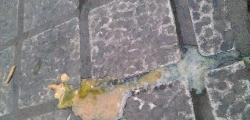 细小早期拉什么便便？（细小早期拉什么便便，了解症状与治疗方法）(图3)