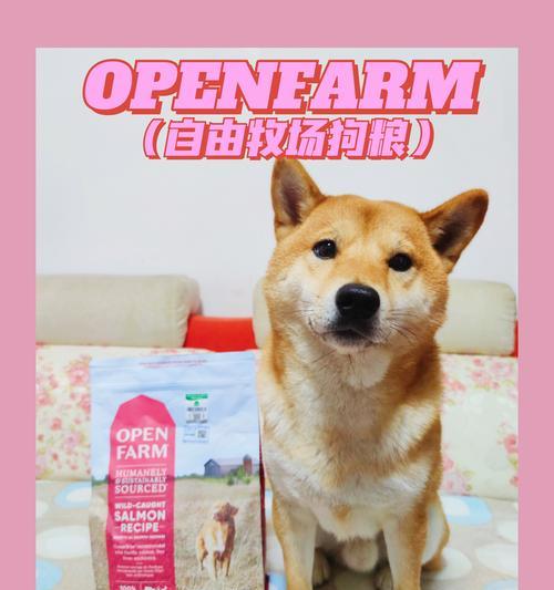 狗为什么不吃狗粮？（探究狗不吃狗粮的原因与解决方案） - 新生家伴