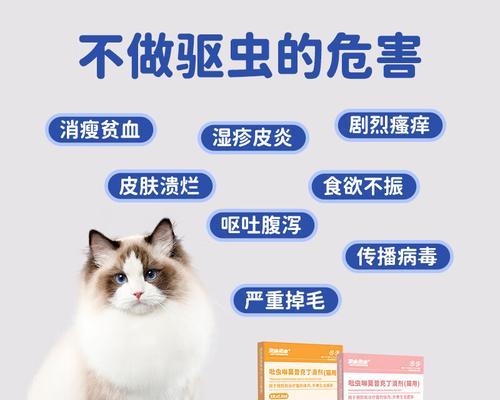 选择适合猫猫的驱虫药，关爱宠物健康（了解猫猫驱虫药的品牌及效果，为宠物提供全面保护）(图2)