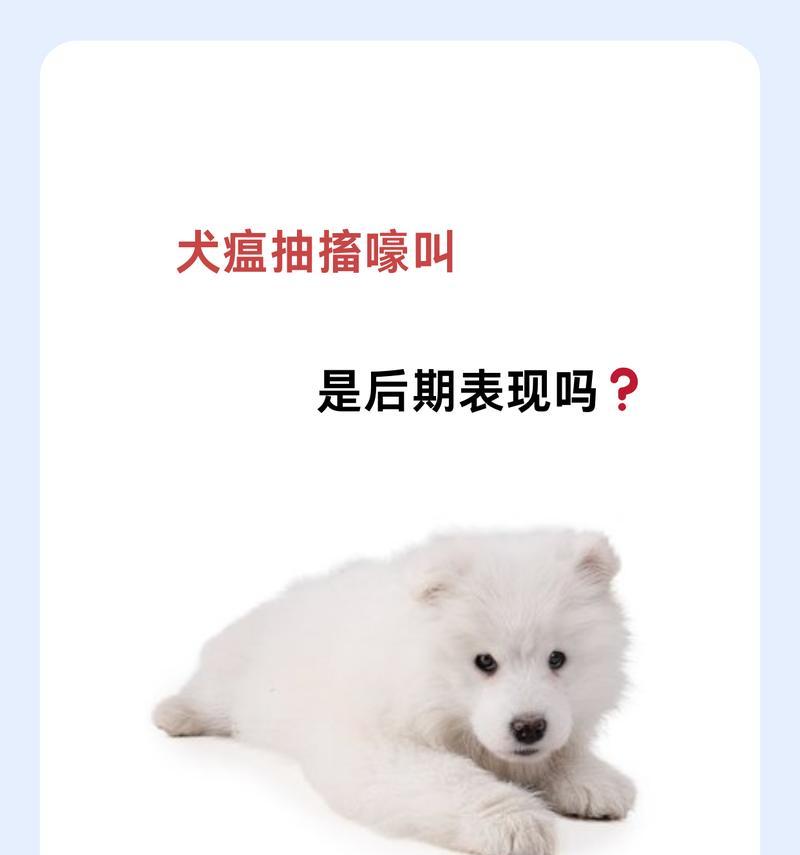 小狗患上狗瘟(揭开狗瘟带来的恶劣状态及防治方法)(图2) 小狗患上狗瘟(揭开狗瘟带来的恶劣状态及防治方法)(图2)