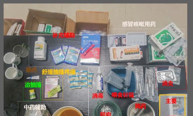 犬瘟特效药的探索与应用（提升犬瘟治疗效果的有效药物与方法） - 新生家伴