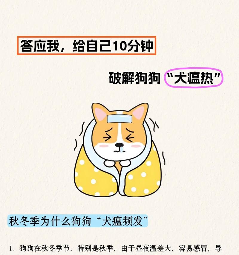 小狗患上狗瘟(揭开狗瘟带来的恶劣状态及防治方法)(图3) 小狗患上狗瘟(揭开狗瘟带来的恶劣状态及防治方法)(图3)