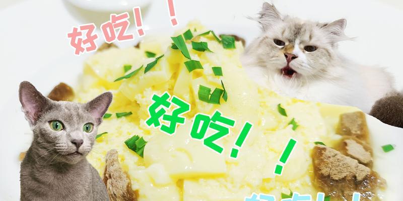 为什么以成犬吃奶糕不好？（探讨成犬摄入奶