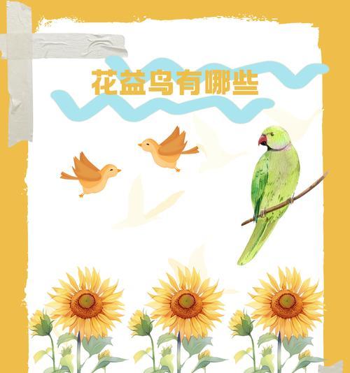 鸟类的食物选择与适应策略（揭秘鸟类的饮食秘密与进化奥秘）(图1)