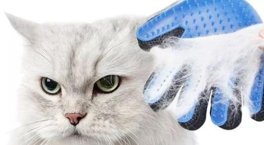 探究猫毛球的成因与处理方法(猫毛球)(图1) 探究猫毛球的成因与处理方法(猫毛球)(图1)