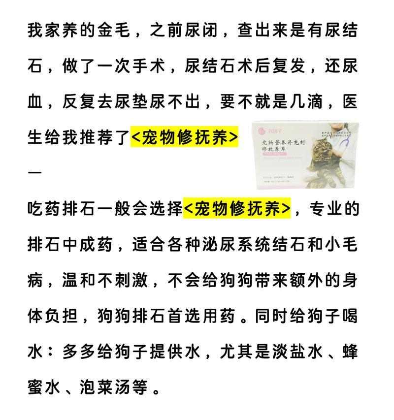 小狗尿血（了解小狗尿血的常见病因及应对之