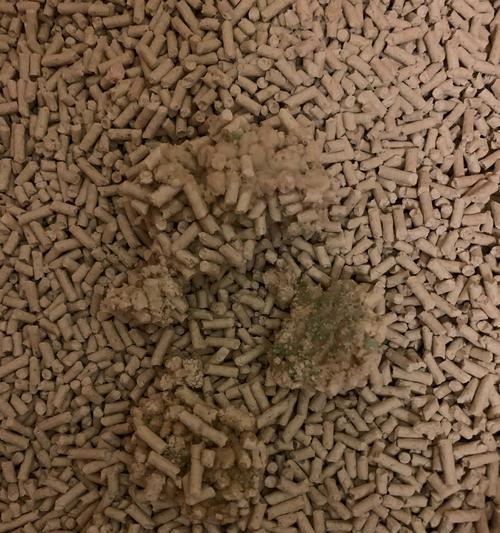 膀胱结晶（了解膀胱结晶的形成原因，识别其症状，并探讨相关治疗方法）(图2)