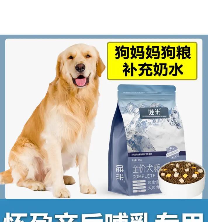 以泰迪喜欢吃狗粮拌什么区别？（以泰迪喜欢吃狗粮拌肉与拌蔬菜的区别）(图1)