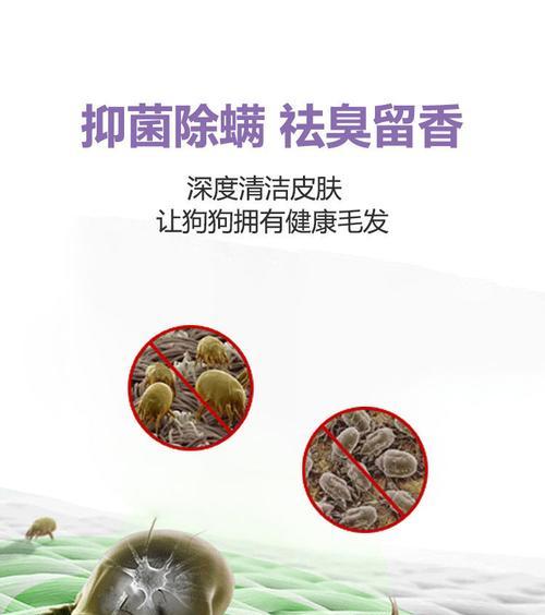 如何选择适合泰迪的护毛素（泰迪护毛素的选择关键） - 新生家伴