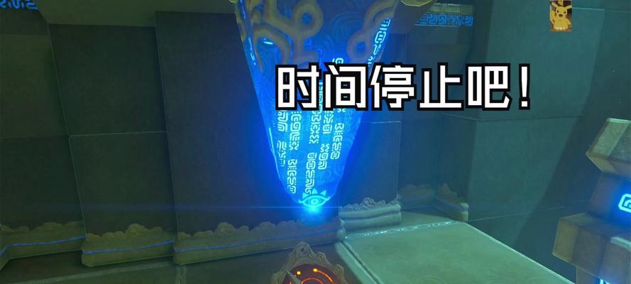 贵宾狗的饮食禁忌与健康饮食指南（以贵宾狗能吃什么不能吃什么为主题的探讨）(图2)