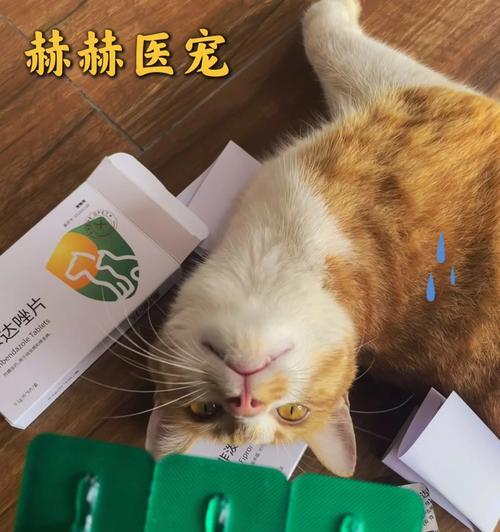 猫咪即将分娩,如何为其准备安全可靠的药物?(图3) 猫咪即将分娩,如何为其准备安全可靠的药物?(图3)