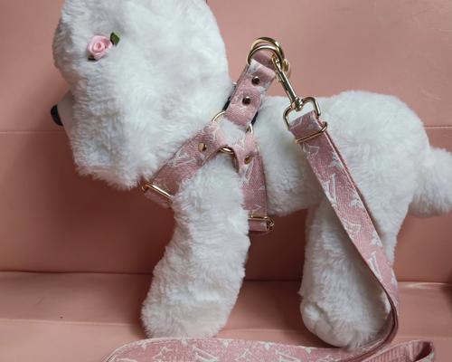 金毛牵引绳的使用方法与注意事项(让你的金毛牵引更轻松愉快,绳索选择要合适)(图1) 金毛牵引绳的使用方法与注意事项(让你的金毛牵引更轻松愉快,绳索选择要合适)(图1)