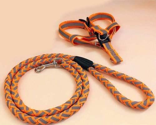 金毛牵引绳的使用方法与注意事项(让你的金毛牵引更轻松愉快,绳索选择要合适)(图3) 金毛牵引绳的使用方法与注意事项(让你的金毛牵引更轻松愉快,绳索选择要合适)(图3)