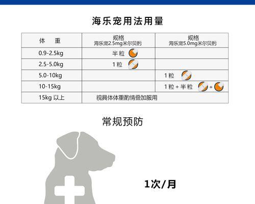 以比熊犬驱虫的禁忌药物（了解比熊犬驱虫禁忌药物，保护你的宠物）(图2)