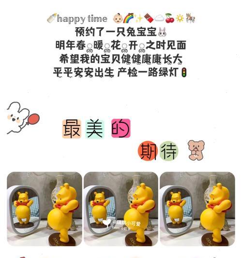 兔子怀孕的饮食要点（兔子怀孕期间应该注重的饮食安排）(图2)